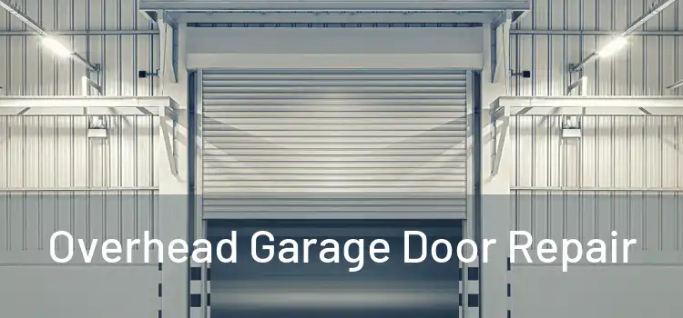 Overhead Garage Door Repair